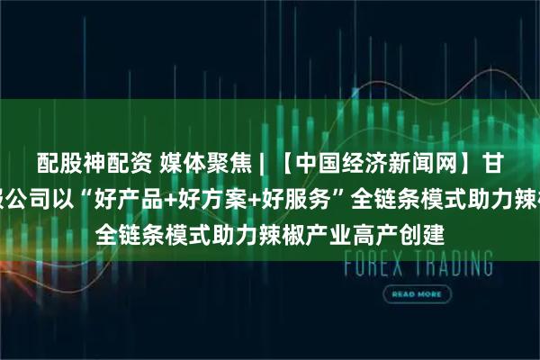 配股神配资 媒体聚焦 | 【中国经济新闻网】甘肃农垦亚盛农服公司以“好产品+好方案+好服务”全链条模式助力辣椒产业高产创建