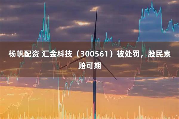 杨帆配资 汇金科技（300561）被处罚，股民索赔可期