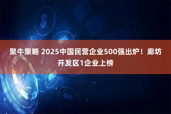 聚牛策略 2025中国民营企业500强出炉！廊坊开发区1企业上榜
